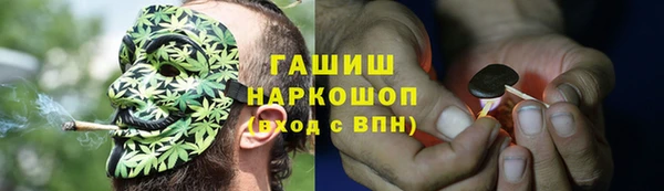 ГАЛЛЮЦИНОГЕННЫЕ ГРИБЫ Лихославль