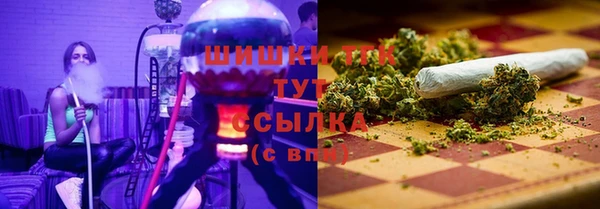 ГАЛЛЮЦИНОГЕННЫЕ ГРИБЫ Лихославль