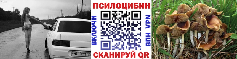Купить закладки  Райчихинск  Псилоцибиновые грибы Psilocybe 